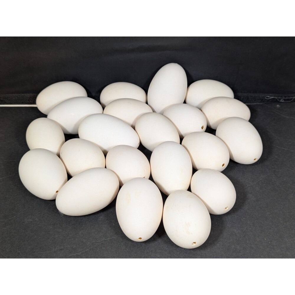 Lot of 20 Blown Out Duck Eggs for Crafts 3" to 3.5" - Estate Sale Find